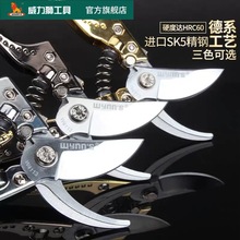 威力狮园艺剪刀修枝剪果树粗枝剪SK5钢省力家用修花剪刀园林工具