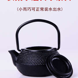 W1TR茶宠摆件 迷你铁壶 小茶壶铸铁壶 手工功夫茶具 家用茶玩