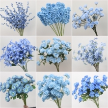 ɏ�Q��c����b�ĵ���ѻ��{ɫ��ĵ�����F�ٻ������m���滨����