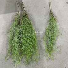 ����՚���ْ� ����횵�픴���ɭϵ�Gֲ��Yܛ�b�����b���횲�