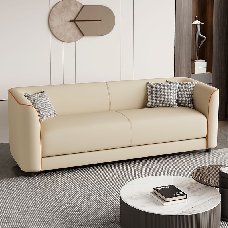 Piel de garra de gato simple y ligera casa pequeña sala de estar apartamento de alquiler barbería doble triple sofá conveniente