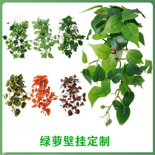 ����Gֲ�G�j�ڒ�Ƶ�Ҿ��T��Ғ������ֲ����@�b�Ʒ�������l