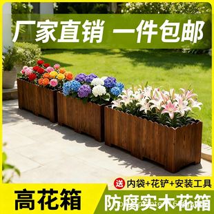 ������ľ����Nֲ�仨�����ͥԺ¶̨�L���ηN�����̨���⻨��