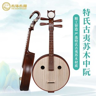 Lehai Zhongruan Musical Instrument Examination Performance of Teshi Guyi Sagwood Material Steel Plain Face Elegant Pattern 513
