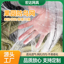 ���B�W�~���C�z���B�W�������B�W���@�����~���r���r����W