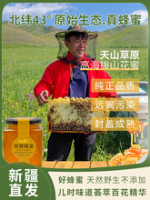 新疆蜂蜜纯正天然野生农家自产宗枣伊犁黑蜂土蜂原蜜洋槐真百花蜜