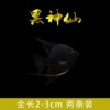 3cm black fairy 2 pack