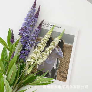 ������β�� ��Ʒ�|���澀�l�ͻ��� ��Ȼ�L��ػ�ˇ�OӋ �Ĕz����