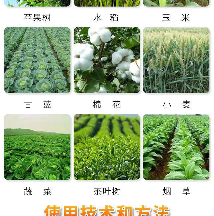 微信图片_202403311055394