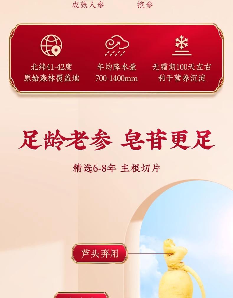 American Ginseng Slices Xi Yang Shen 40g Jar Whole Root Slices for Tea and Daily Wellness quality and texture