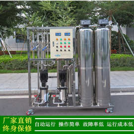 反渗透设备厂家绿健供应二级反渗透纯水机医院用纯化水设备0.5T/H