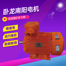 卧龙南阳电机低压煤矿井下用隔爆型三相异步电动机厂家直供