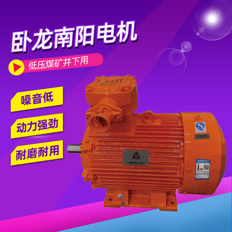 卧龙南阳电机低压煤矿井下用隔爆型三相异步电动机厂家直供