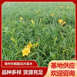 ��������� �t������^�p�����ݻ������lС�^�G�����^�p�����