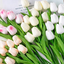 ���uĸ�H�������b������㻨�����ٻ����������˹��Ɍ����