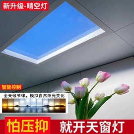 商用吊线灯;吸顶灯;LED面板灯