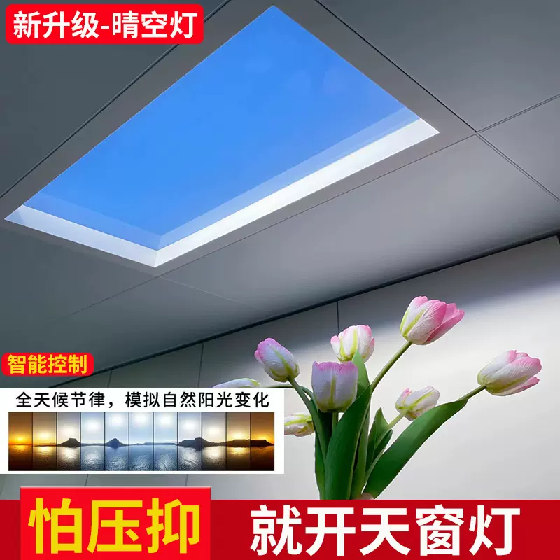 跨境青晴空灯长条吸顶灯商用阳台灯玄关过道灯走廊灯晴空灯蓝天灯