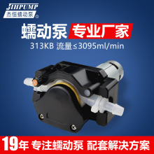 杰恒313KB小型蠕动泵大流量自吸循环液体计量泵 实验室定量蠕动泵