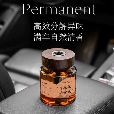 Car Perfume Aromatherapy: Purifying the Air in the