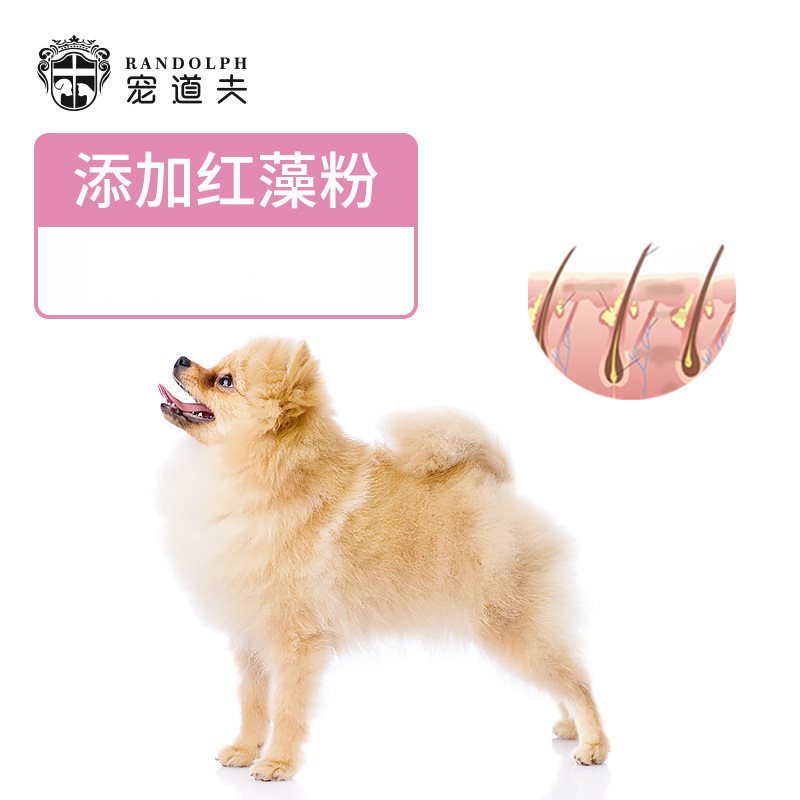 Alimentos especiales para perros, 2 kg de perros pequeños, pastel de leche universal para perros adultos, 4 kg de alimentos para perros.