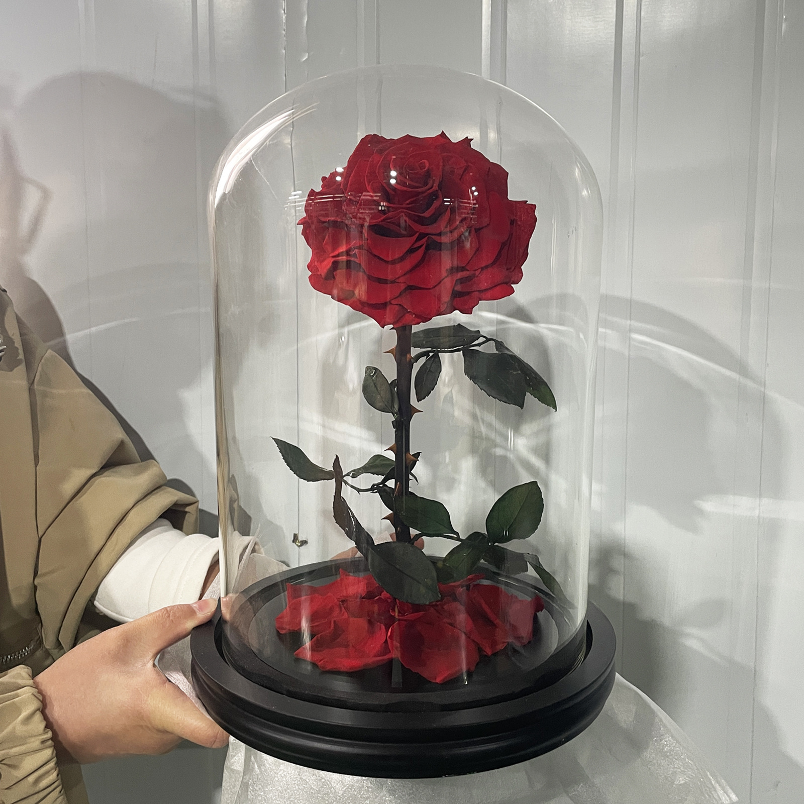 Flor inmortal rosa gran príncipe cubierta de vidrio productos terminados regalos creativos del día de San Valentín Amazon venta caliente adornos de flores inmortales