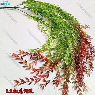 ����������֦�Gɫ���~��@�������~���~������֦��������֦�l���l
