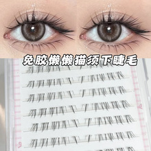 ����е�����½�ë؈ϵ�֮��������Н����pб�w�޽ӂ����