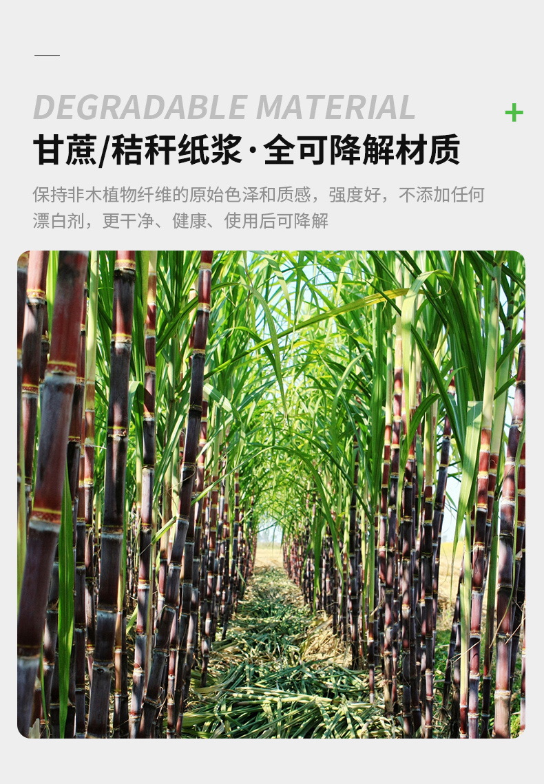 O1CN012FhEPU1Fu6uVlqKZL_!!2210