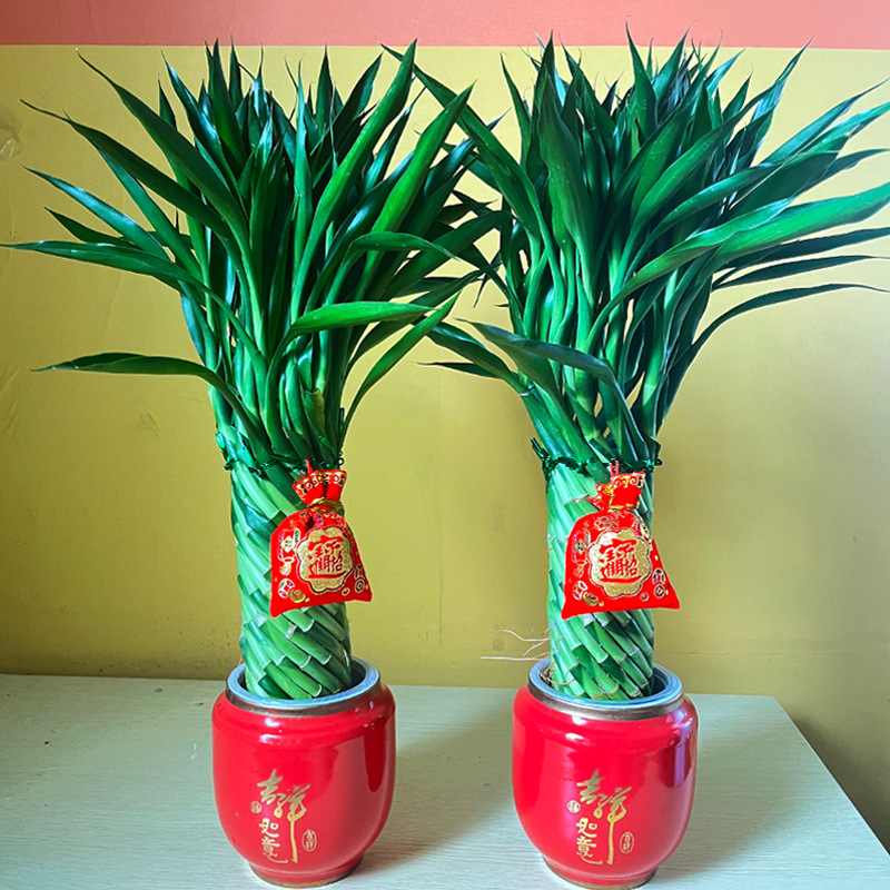 ΢��ͼƬ_20220909003550