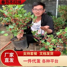 һ�����lɣ�ؘ���޽�̨���ļ��L��ɣ���~�B�Qɣ���ϱ������Ե���