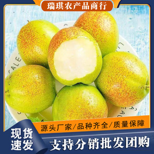 ������¶����9��������������rˮ��10���l���]5����ɽ����Ƥ����