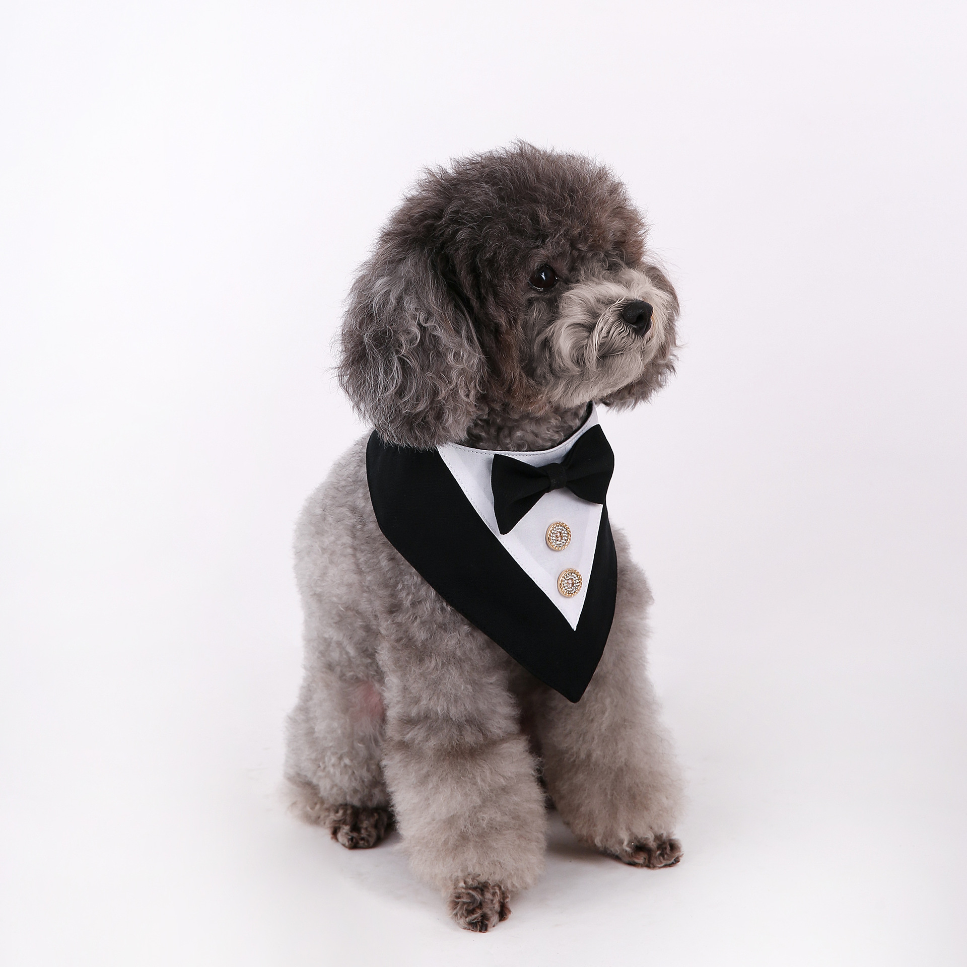 Navidad Año Nuevo Spot transfronterizo boda británica trajes toallas para mascotas bufandas perros velcro toallas para mascotas triángulos