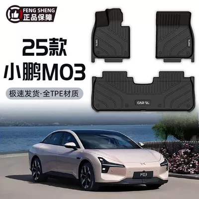 Xpeng M03 24-25 modelləri üçün TPE xüsusi avtomobil ayaqaltıları, Mona xalça matı