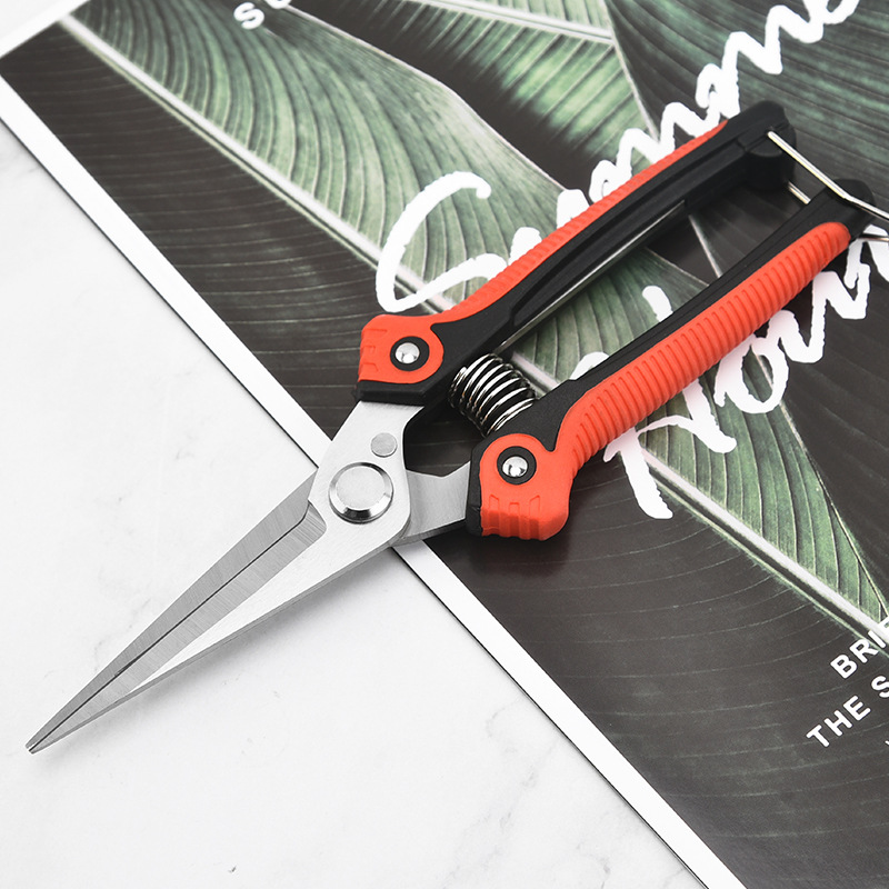 修枝剪园艺园林剪刀多功能修枝剪树枝剪果枝剪花园摘水果剪刀