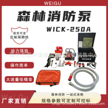 WICK-250AؓʽƄӜˮhݔͱø߉Ü