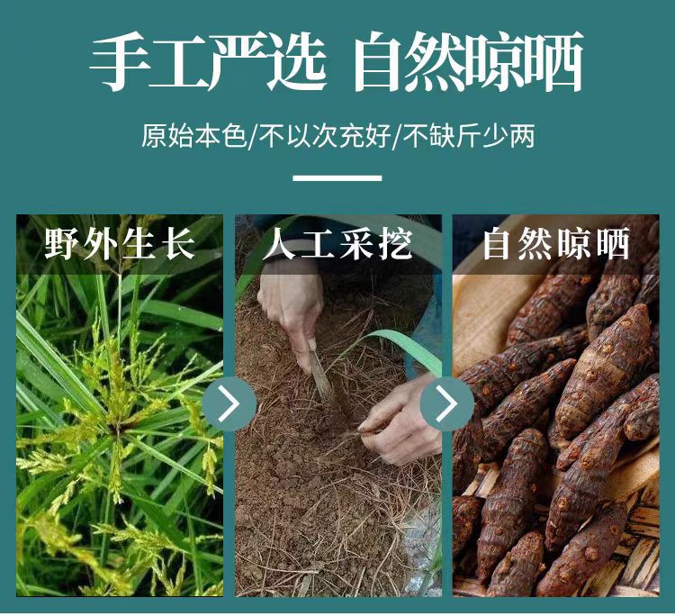 Xiang Fu Slices (Cyperus rotundus) — Vinegar-Processed Cyperus Rhizome, 500g key features