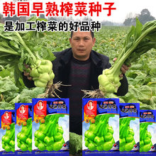 ե�˷N�� �ش�ե�˷N�������˸���N�� �＾�r��������N��