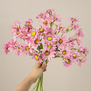 ��@�����¿�����С�r��Ұ�� �͏d�����Ƶ��bٻ��[�������r��