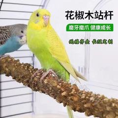 オウム胡椒丸太ステーションポール爪研ぎスティック枝ステーションスティックオウムステーションラック丸太鳥のおもちゃ用品オウムステーションスティック