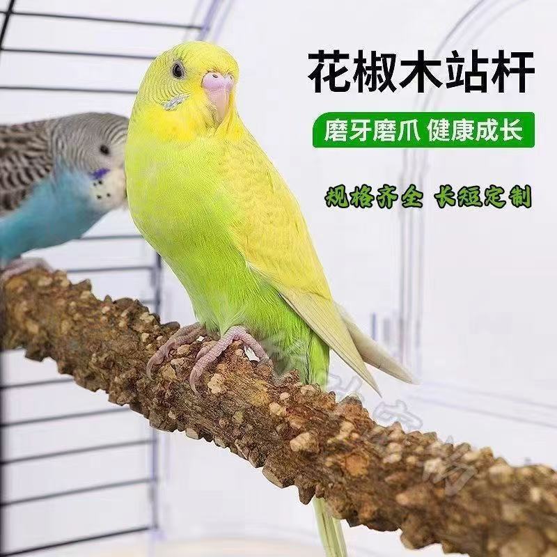 鹦鹉花椒原木站杆磨爪棒树枝站棍鹦鹉站架原木鸟玩具用品鹦鹉站棒