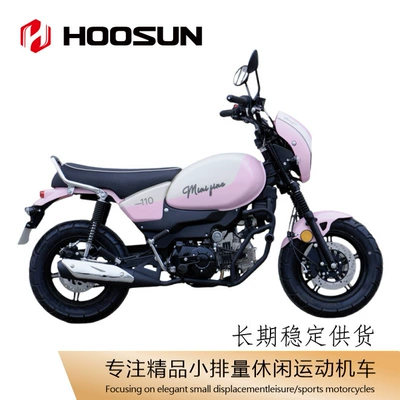 The Haochen Is Adorable, Low-Slung, with a Large Fuel Tank, Front and Rear Disc Brakes, Compact and Flexible, Perfect for Trendy Outings. Motorcycle