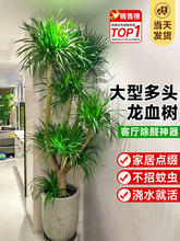 ��Ѫ��͏d�Gֲ���^��횘����F��͏d�Gֲ�҃ȴ�����Ѫ��ֲ������