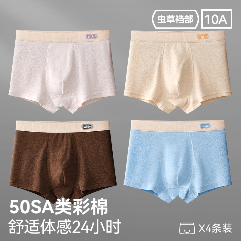 96027-그레이 퍼플+밀크 살구+다크 커피+스카이블루