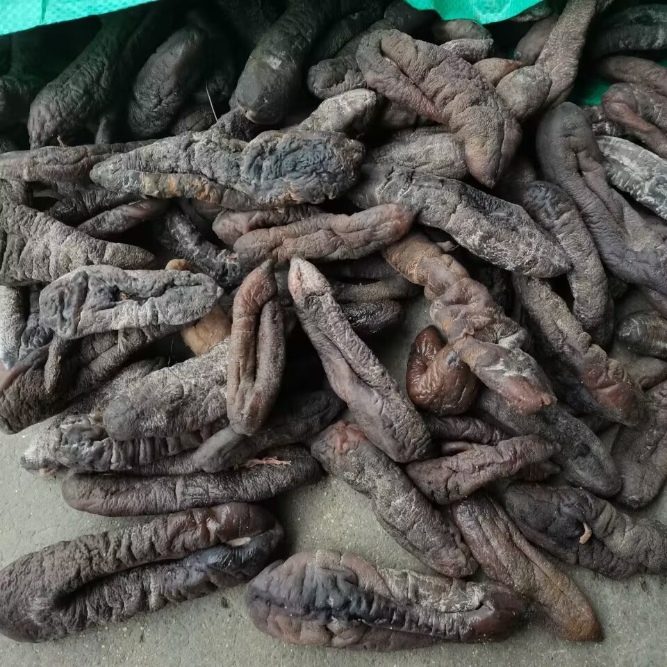 大乌参 大号 产地直销 七成干 去皮茄参 海地瓜 皮参   高涨发