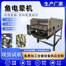 活鱼屠宰设备流水线 电晕鱼类扎腮放血设备 三文鱼海鲈鱼电晕机