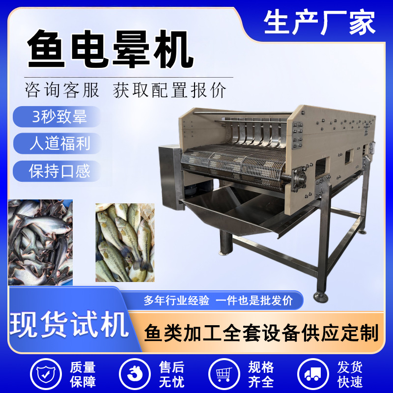 活鱼屠宰设备流水线 电晕鱼类扎腮放血设备 三文鱼海鲈鱼电晕机