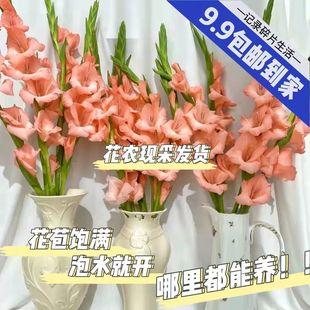 �V�݄��m�r�������������҃Ȼ�������ˮ�B���廨�r��ͬ�����f���|