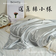 夏季纯真丝枕巾100桑蚕丝22/25姆米枕头皮 顺发抗静电一对需拍2件