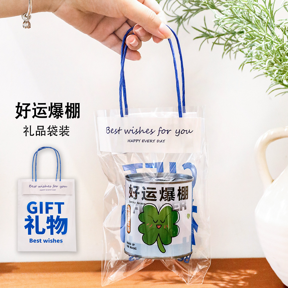 Creativa plantación ciega caja de regalo set adornos de escritorio para estudiantes primarios maceta de semillas de niños plantas enlatadas pequeñas macetas image 11