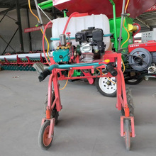 2024¿șșCСʽrײַșСr